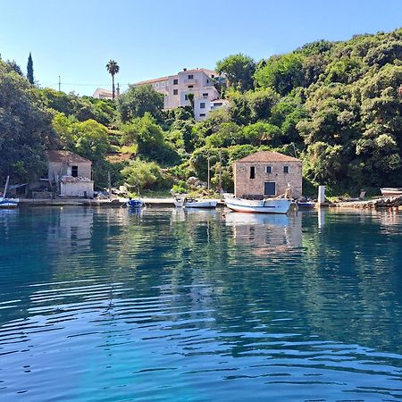 Apartment Jelena Molunat Εξωτερικό φωτογραφία