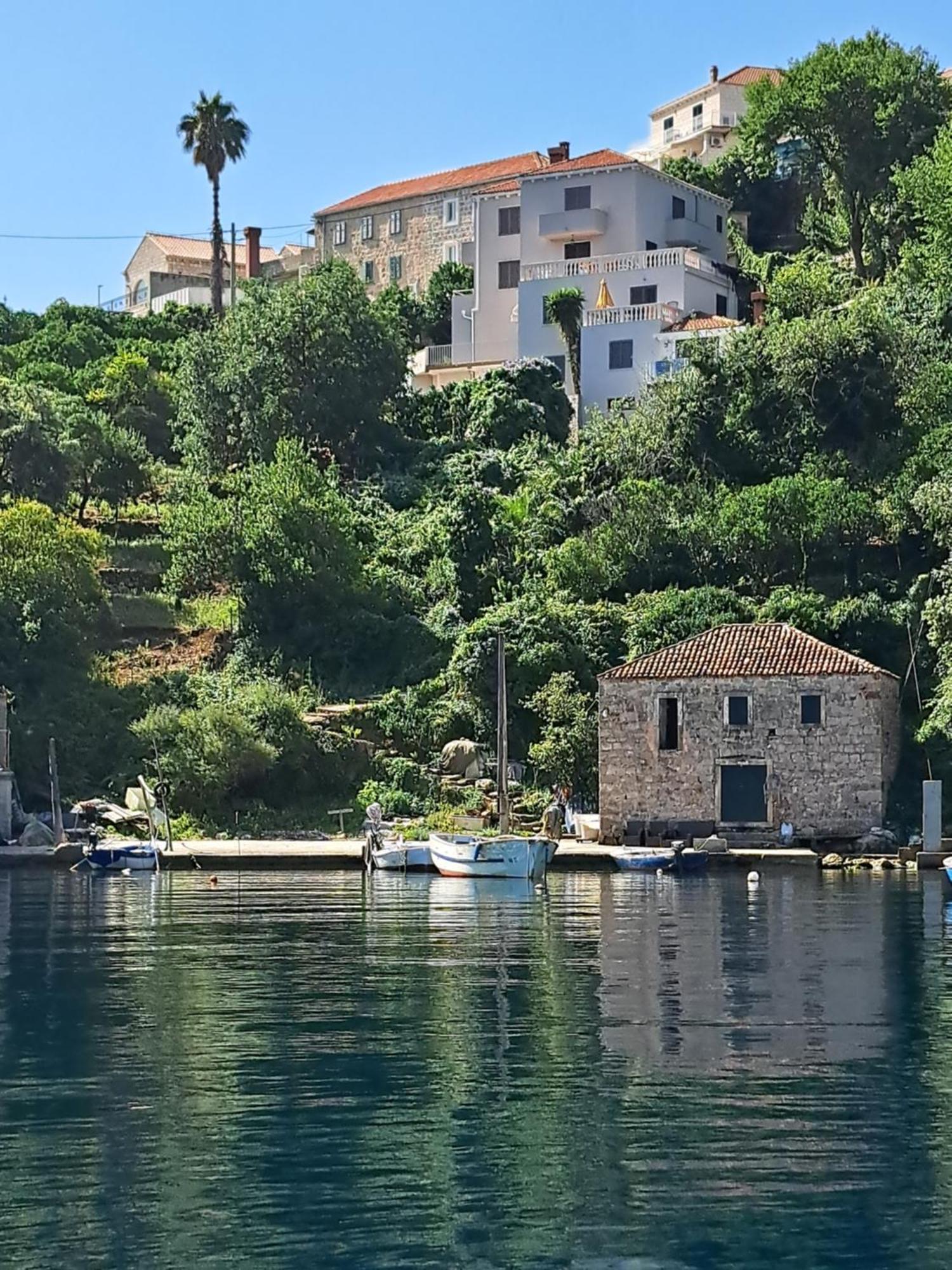 Apartment Jelena Molunat Εξωτερικό φωτογραφία