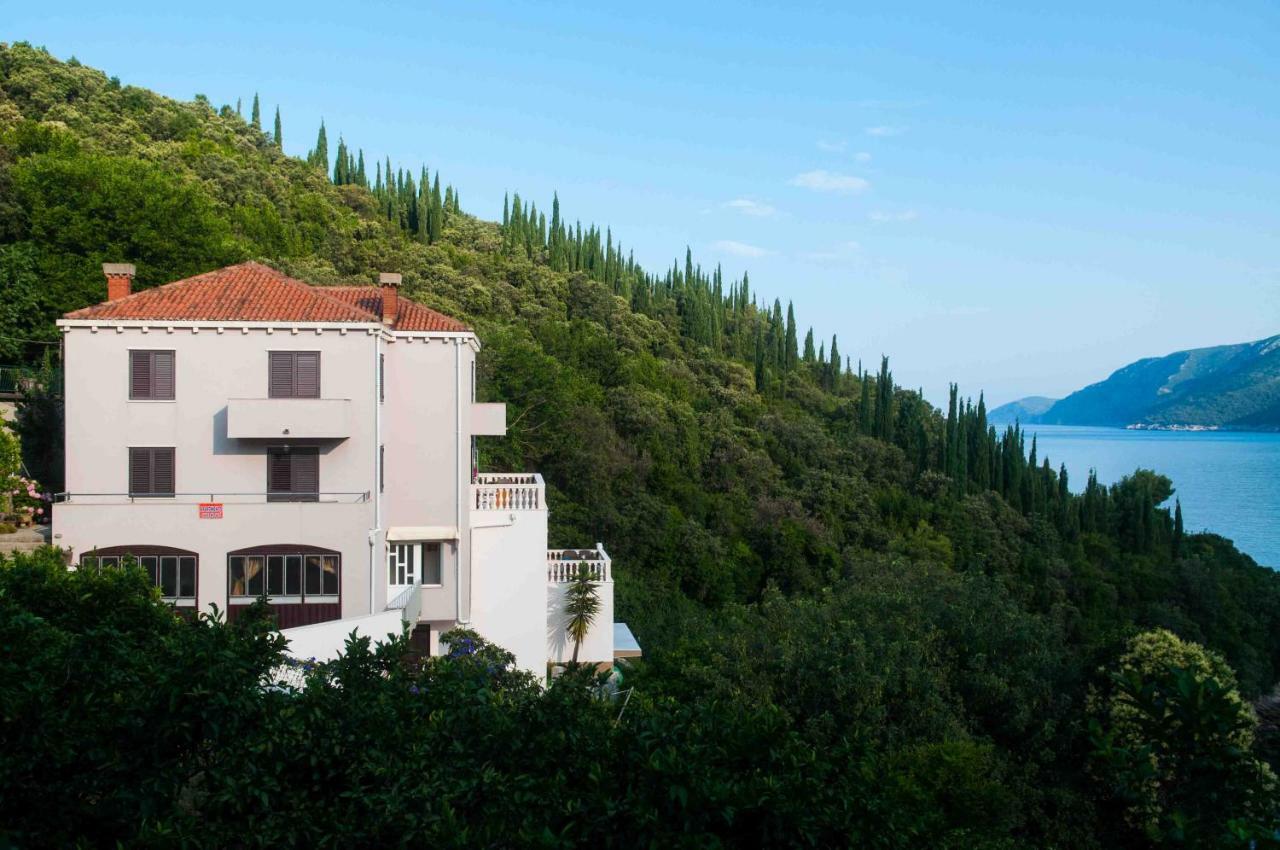 Apartment Jelena Molunat Εξωτερικό φωτογραφία
