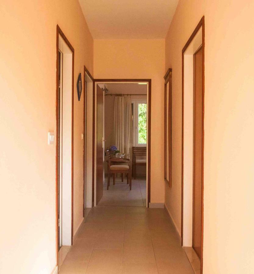 Apartment Jelena Molunat Εξωτερικό φωτογραφία